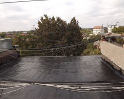 DSCF6147