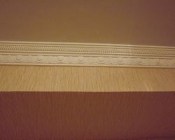 DSCF6646